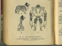 13.webp
