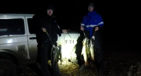 20131116_224759[1].webp