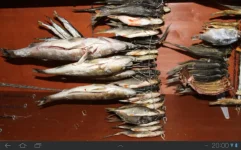 SC20131119-200019.webp