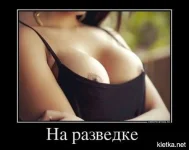 539661_702912523057290_1152933862_n.webp