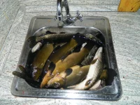 DSCN2412.webp