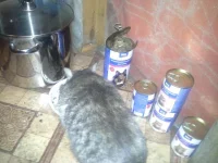 20131109_221406.webp