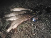 2013-11-26 20.17.18.webp