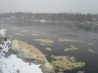 20131127_112218-41604677.webp