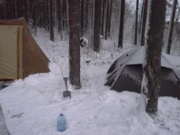 20131127_161120-146800231.webp
