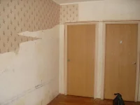 9.webp