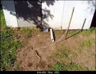 бггггг.webp