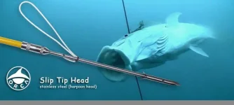 orca_sep1.webp