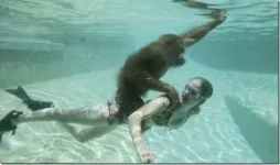 imagesCAFU4O3H.webp