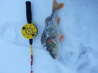 20131212_104249.webp