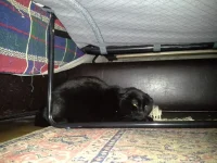 20131214_200420.webp