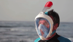 f325.gif
