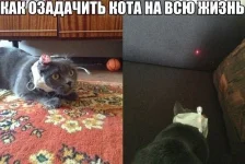 2579871.webp