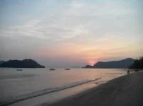 7.webp
