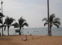 IMG_20131231_085228.webp