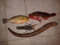 20131229_1555321.webp