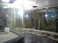 20131224_084002.webp