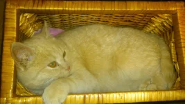 DSC_1879.webp