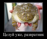 getImage (47).webp