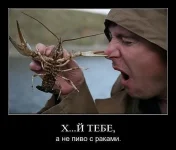 getImage (49).webp