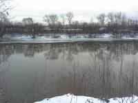 20140115_170829.webp