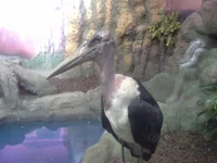 20140116_085636.webp