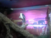 20140116_085632.webp