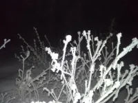 20140121_234244.webp