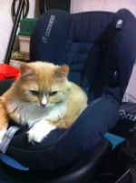 33333333333333.webp