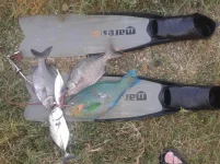 20140130_14264811111.webp
