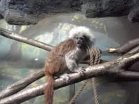 20140130_100513.webp