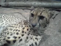 20140130_100815.webp