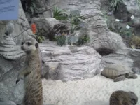 20140130_101019.webp