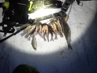 20140201_014854.webp