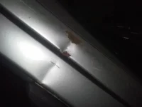 20140130_123146.webp