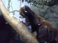 20140130_101108.webp