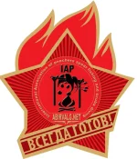 пионэр копия.webp
