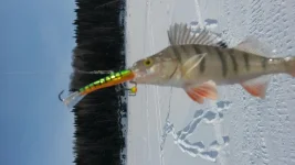 20140209_140351[1].webp