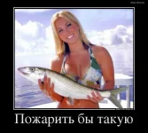 2951595_9cd2fccd.webp