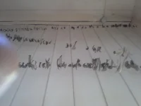 1393251726320.webp