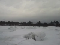 1393323322783.webp