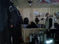 1393329678247.webp