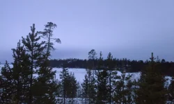 1393426390533.webp