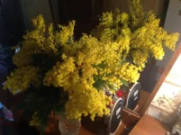 image.webp