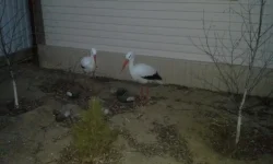 20140310_190232.webp