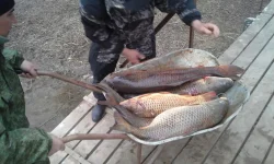 20140311_163926.webp
