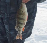 20140320_154443-1.webp