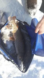20140321_155727.webp