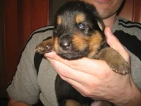 IMG_4809.webp