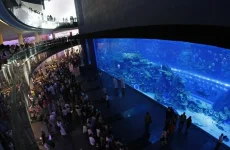 dubai_aquarium_at_the_dubai_mall.webp